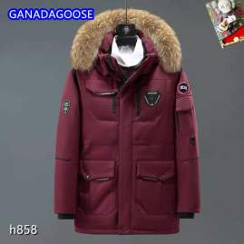 Picture of Canada Goose Down Jackets _SKUCanadaGooseM-3XL25tr18837933